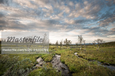 Streams in Pallas-Yllastunturi National Park, Finland