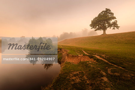 Early Autumn (Fall) mist, dawn, River Derwent, Chatsworth Park, Peak District National Park, Chesterfield, Derbyshire, England, United Kingdom, Europe