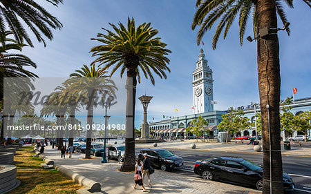 Ferry Building and palm trees, San Francisco, California, United States of America, North America
