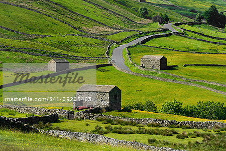 Meadows with field barns, Swaledale, Yorkshire Dales National Park, North Yorkshire, England, United Kingdom, Europe