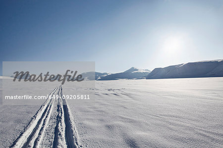 Tire tracks in snow-covered field