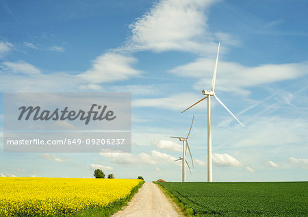 Wind turbines in crop field