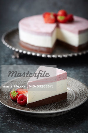 Plate of ice cream cake with fruit