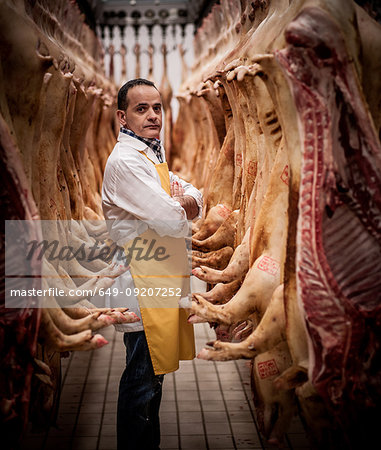 Portrait of Italian butcher surrounded by hanging pig carcasses