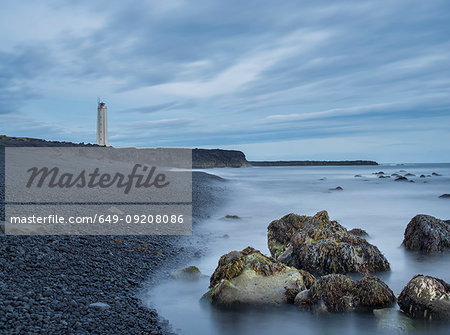 View of rocks, seaweed and lighthouse, Malarif, Snaefellsnes, Iceland