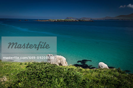 Great Blasket Island, Ireland