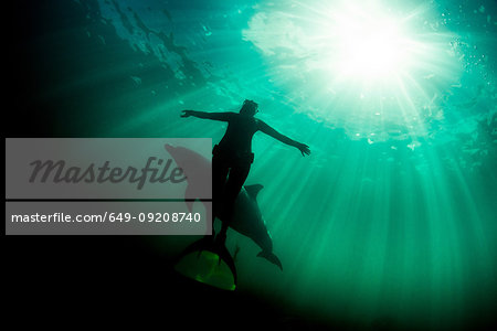 Freediver and Bottlenose dolphin