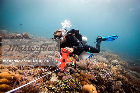 Female scuba diver conducts a scientific survey on a coral reef, Raja Ampat, West Papua, Indonesia