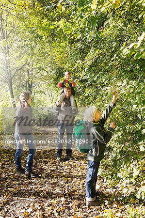 Family walking on tree lined path enjoying the trees