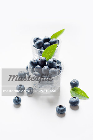 Still life with blueberries in glass tumblers and leaf