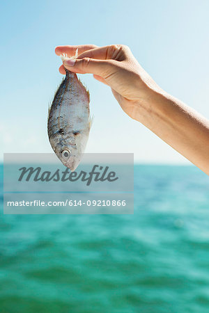 Close up of female hand holding up a fish