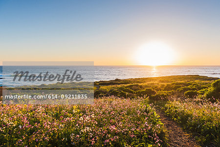 View of sea and path at sunrise, San Luis Obispo, California, United States