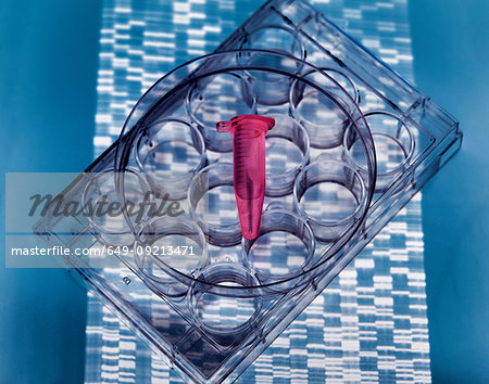 DNA sample inside vial on multi well plate, DNA gel showing results