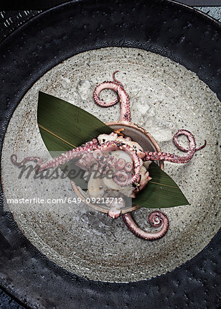 Fresh octopus presented in bowl with seed garnish, still life, overhead view