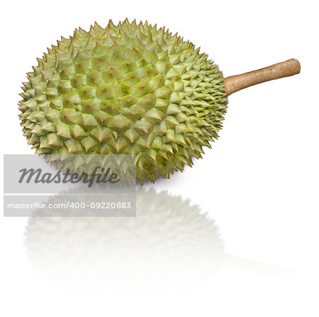 Durian, pronouns as King of Fruits, isolated on white background