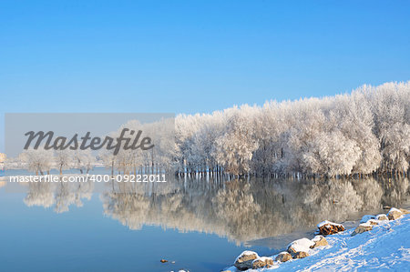 Winter trees covered with frost on Danube river