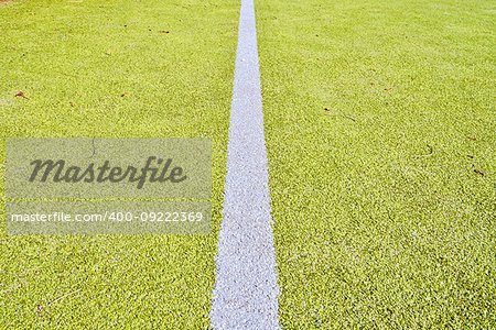 White line on green playing field. Copy space. Sport texture and background.