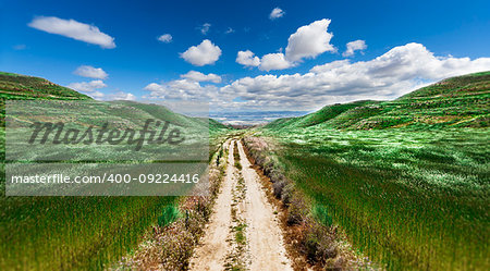 Landscape green fields and hills .Path through the green field