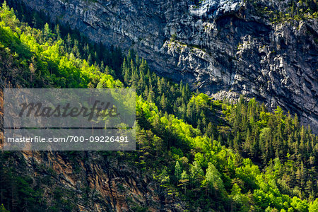 Rock cliffs and forest of the Pyrenees in the Ordesa y Monte Perdido National Park in the Huesca Province in Aragon, Spain