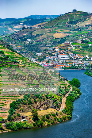 Looking down the Douro River with the terraced vineyards in the Douro River Valley, Norte, Portugal