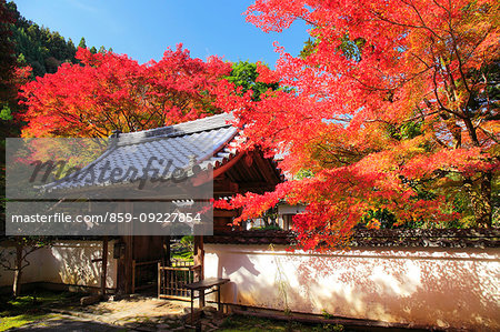 Kyoto, Japan