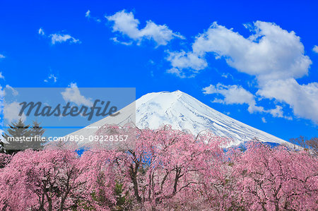 Yamanashi Prefecture, Japan