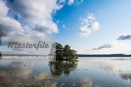 Evening light on Malaren lake, Sigtuna, oldest town of Sweden, Scandinavia, Europe