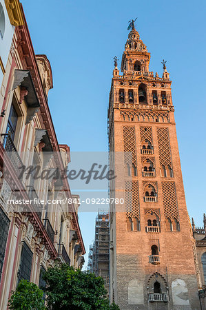 Giralda Bell tower at sunset, UNESCO World Heritage Site, Seville, Andalusia, Spain, Europe