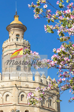 The Golden Tower (Torre del Oro), Seville, Andalusia, Spain, Europe