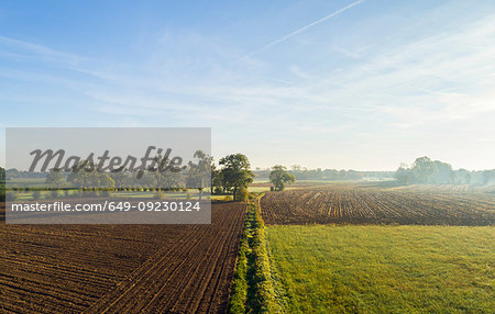 Field landscape in autumn sunlight, elevated view, Netherlands