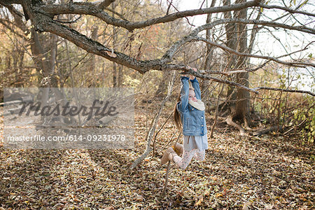 Little girl swinging on tree branch in forest