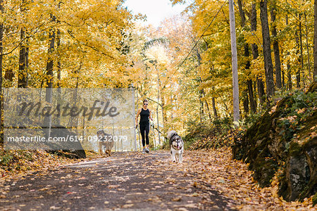 Woman jogging with dogs on leash in forest