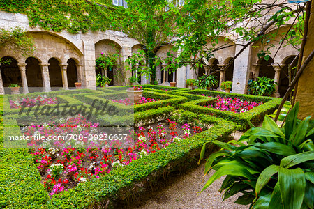 The Cloisters of the Saint Paul de Mausole Monastery, Saint-Remy-de-Provence, Provence-Alpes-Cote d'Azur, Provence, France.