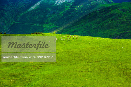 View from the Col de Peyresourde pass near Bagneres-de-Luchon, Occitanie, Pyrenees, France.