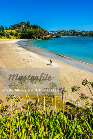 Little Oneroa Beach, Waiheke Island, North Island, New Zealand.