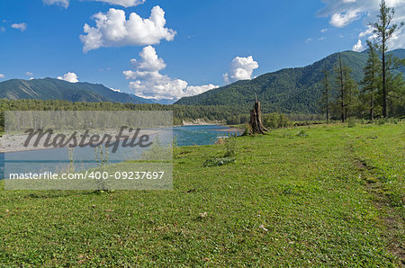 Katun River. Altai Mountains, Russia. Sunny summer day.