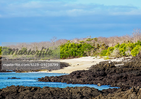 Landscape of the Dragon Hill area, Santa Cruz (Indefatigable) Island, Galapagos, UNESCO World Heritage Site, Ecuador, South America