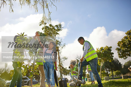 Kid volunteers high-fiving, planting trees in sunny park