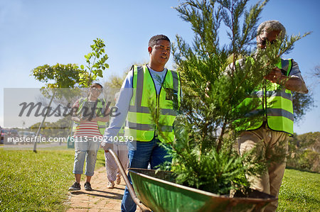 Volunteers planting trees in sunny park