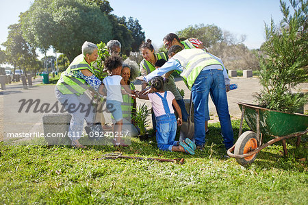 Community volunteers planting trees in sunny park