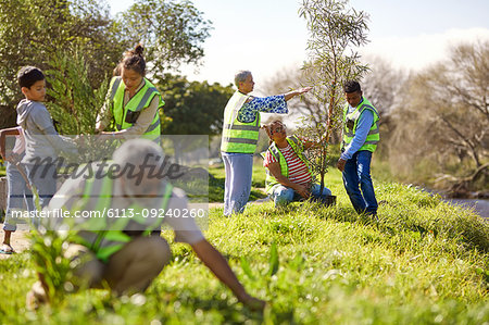 Volunteers planting trees in sunny park