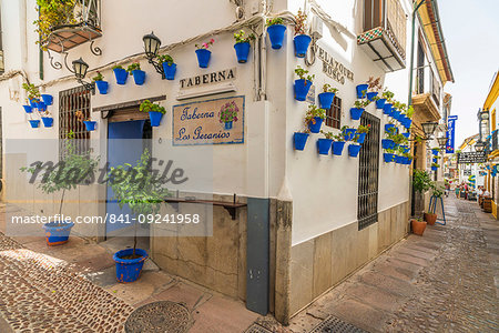 Hanging flowerpots on walls of typical tavern in the old alley of Calleja De Las Flores, Cordoba, Andalusia, Spain, Europe