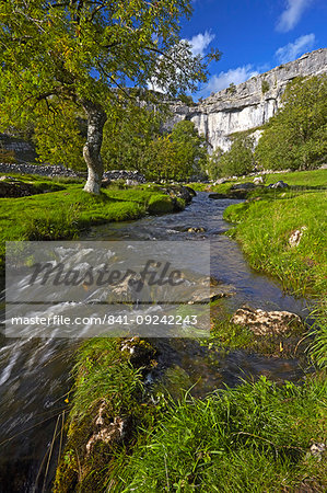 A view of Malham Cove in Malhamdale, Yorkshire Dales National Park, North Yorkshire, England, United Kingdom, Europe