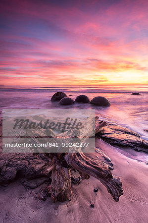 Moeraki Boulders with dramatic sunrise, Otago, South Island, New Zealand, Pacific