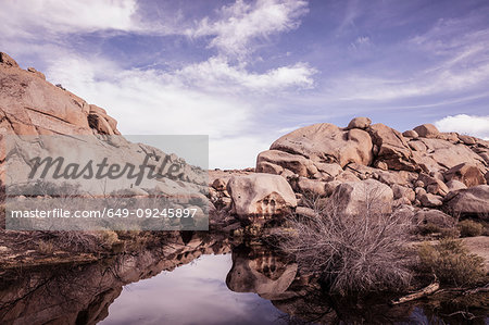 Rock formations and standing water, Joshua Tree, California, USA