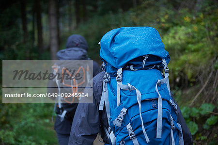 Young hiking couple hiking through forest with backpacks, rear view, Manigod, Rhone-Alpes, France
