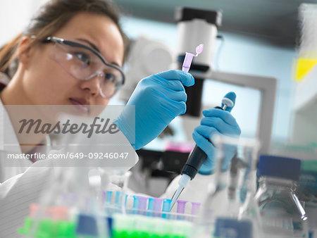 Scientist pipetting sample into vial for genetic testing in laboratory Scientist pipetting sample into vial for genetic testing in laboratory