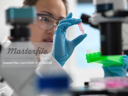 Scientist preparing sample for genetic testing in laboratory
