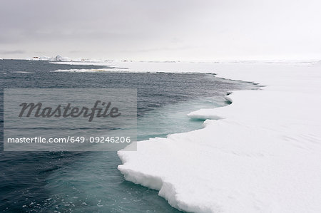 Sea ice on arctic ocean, Brasvellbreen. south of Austfonna ice cap, Nordaustlandet, Svalbard, Norway
