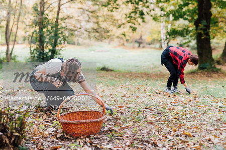 Friends collecting chestnuts, Rezzago, Lombardy, Italy